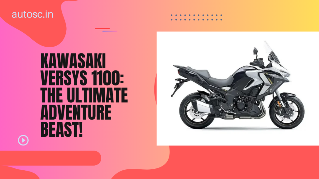 Kawasaki Versys 1100